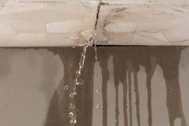 Professional Flood Damage Cleanup technician working in Glenbrook, NV